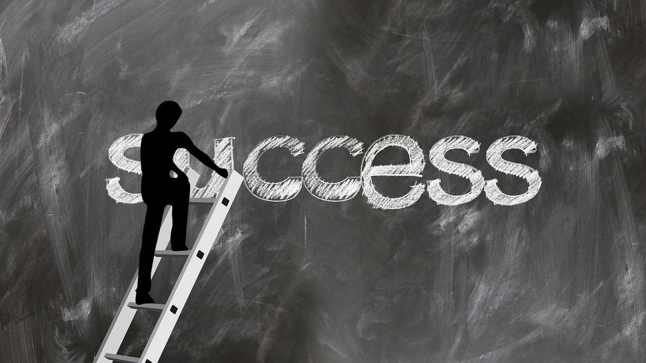 ladder, success, success ladder