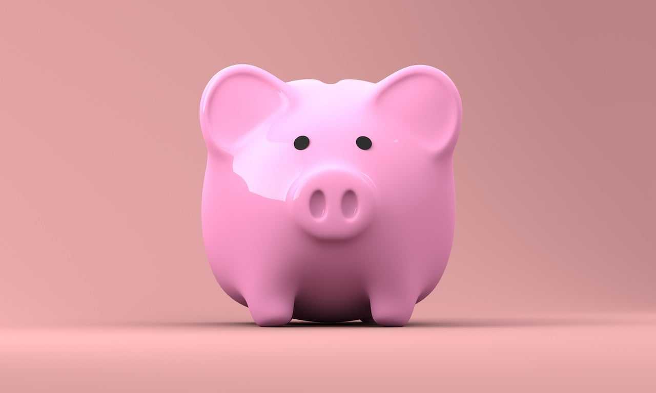 piggy bank, money, finance, banking, currency, cash, pig, investment, wealth, savings, financial, save, economy, deposit, pink, accounting, retirement, invest, income, loan, investing, rich, profit, fund, piggy bank, money, money, money, money, money