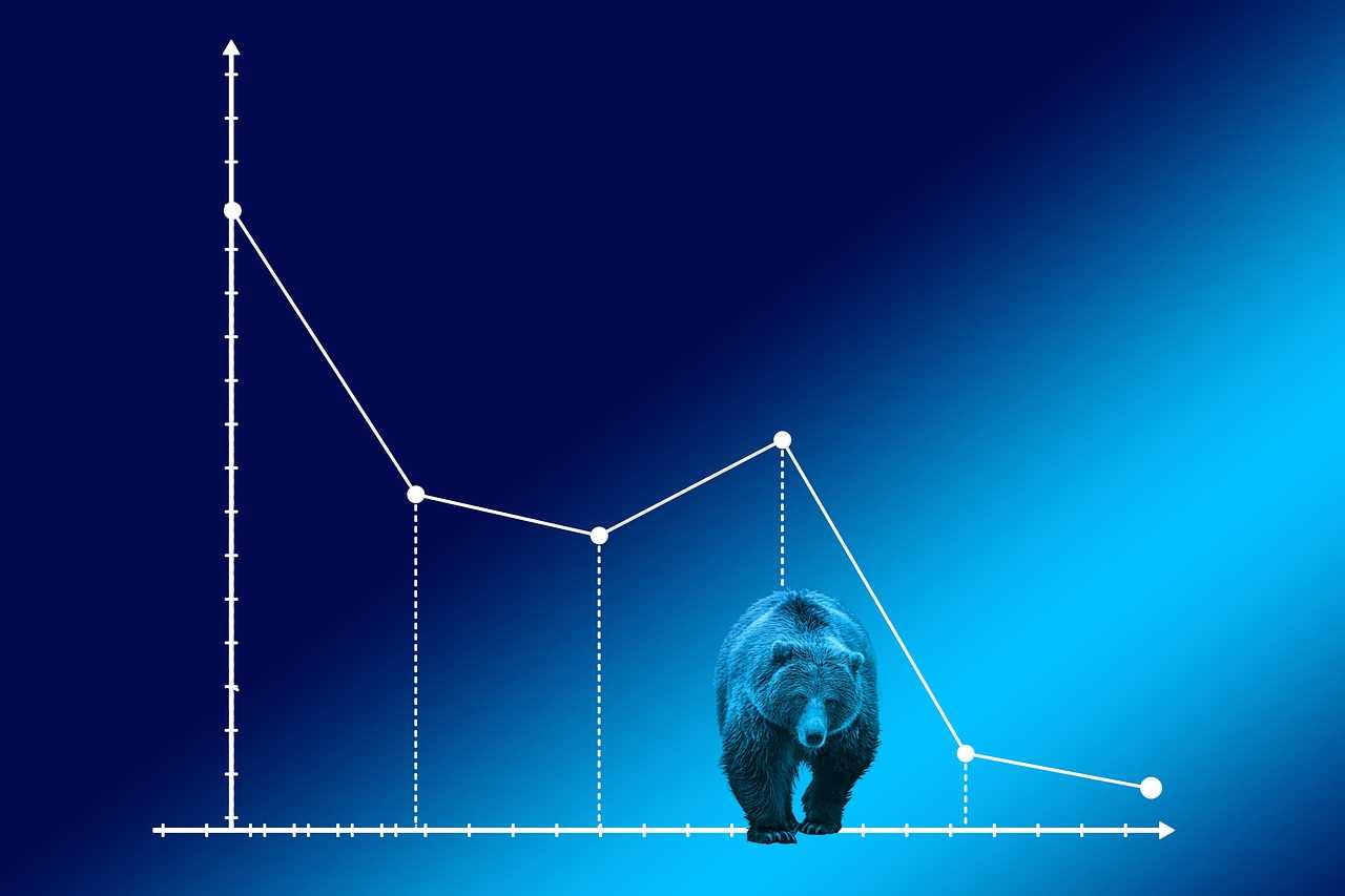 bear market, baisse, courses, stock exchange, bear, financial market, investors, market phase, finance, business, yield, profit, loss, bear market, bear market, bear market, bear market, bear market