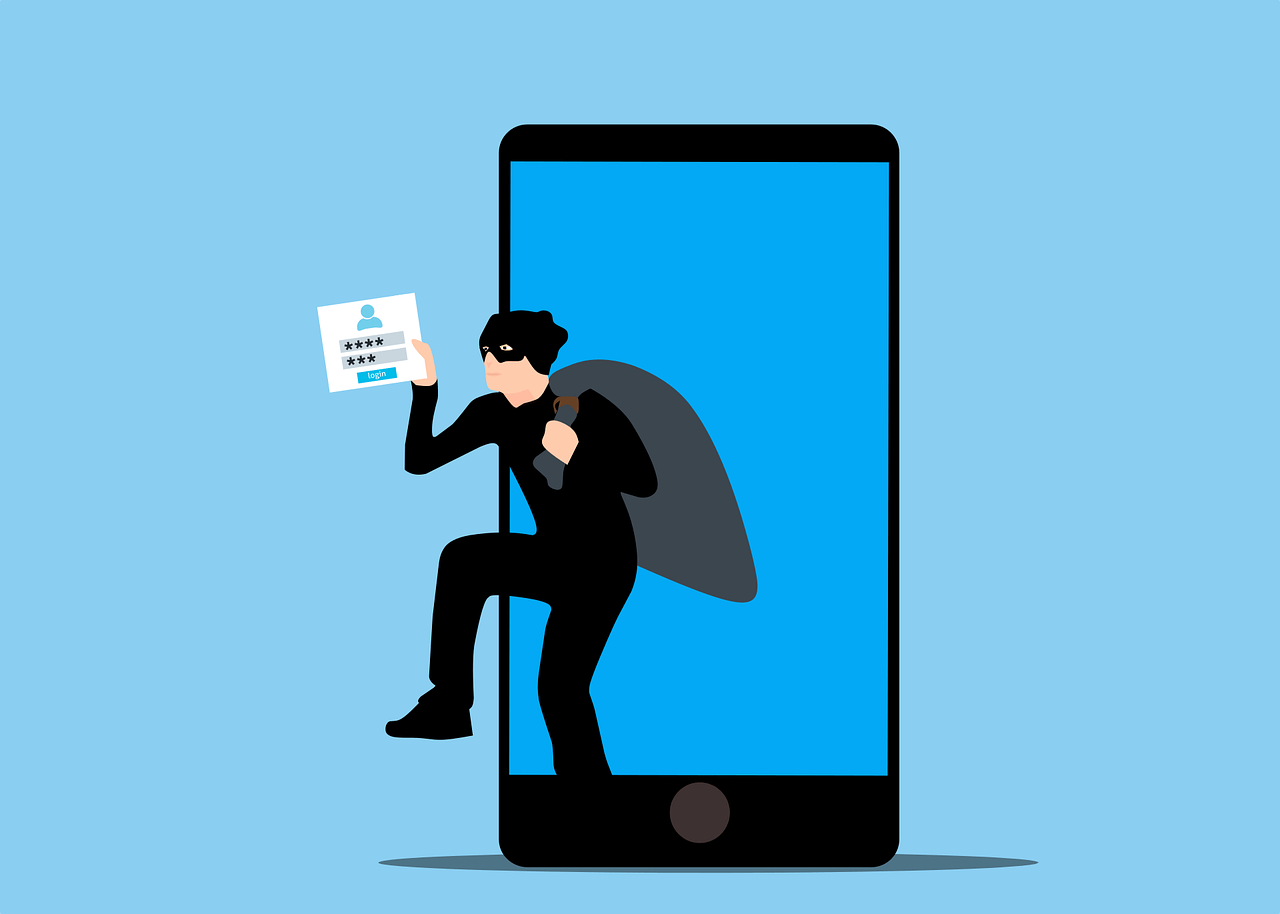 hacking, data theft, online fraud