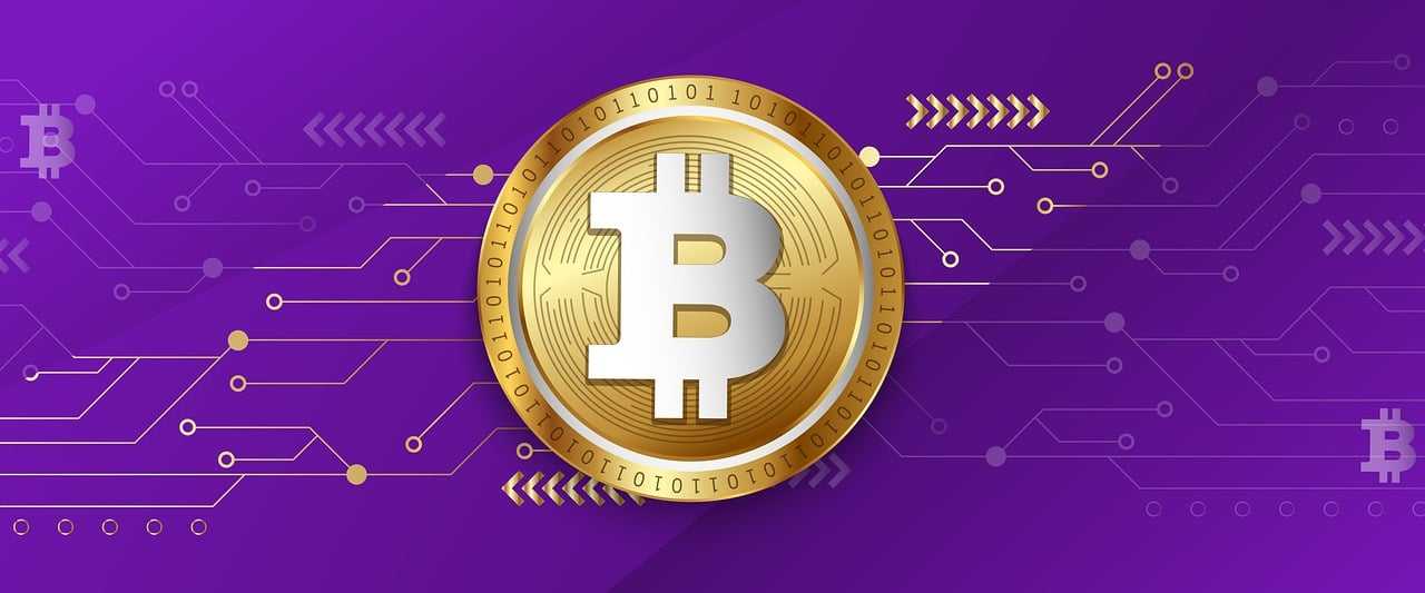 bitcoin, crypto, cryptocurrency, blockchain, currency, technology, network, banner, golden, coin, trading, exchange, bitcoin, bitcoin, bitcoin, bitcoin, bitcoin, crypto, crypto, crypto, crypto, crypto, cryptocurrency, cryptocurrency, cryptocurrency, cryptocurrency, blockchain, blockchain, blockchain, trading, trading